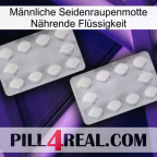 Männliche Seidenraupenmotte Nährende Flüssigkeit 17
